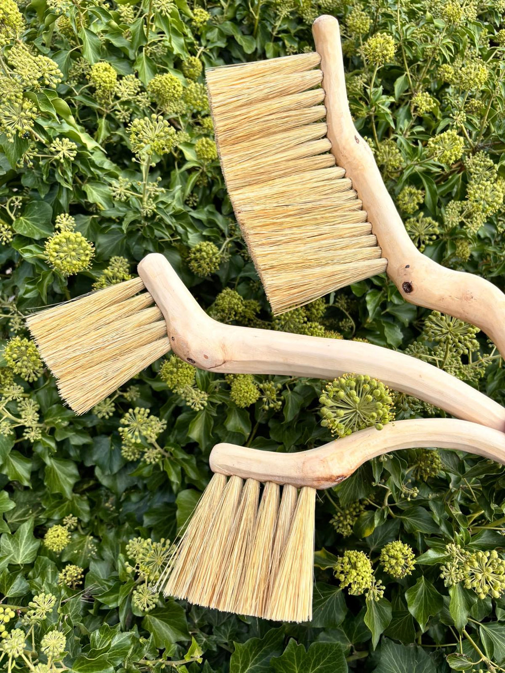 Handmade Hedgerow Brushes by Rosie Collins